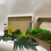 DIY moss wall art set featuring a white frame, cardboard box filled with green moss, fern frond, glue bottle, and scraper
