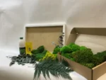 DIY Jungle Moss Picture Set - Image 3