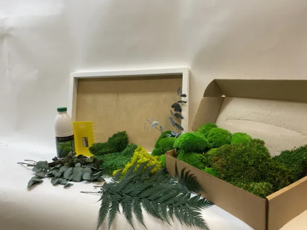 DIY Jungle Moss Picture Set - Image 3