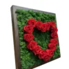 Side view of square dark wood frame with preserved green moss and a heart-shaped arrangement of red roses.