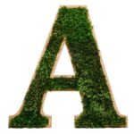 3D Wooden Letters for Logo with Provence Moss A-Z 0-9