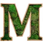 3D Wooden Letters for Logo with Spherical Moss A-Z 0-9