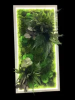 Custom Illuminated Moss Picture - Image 4