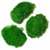 Three round mounds of vivid green preserved ball moss on a white background