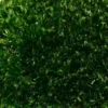Close-up texture of dense, deep green Provence moss