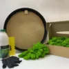 DIY moss art kit with round black frame, glue bottle, scraper tool, gloves, and green reindeer moss in a cardboard box