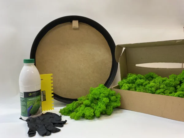 Ekomoss Round DIY Moss Picture Set – Reindeer Moss - Image 3