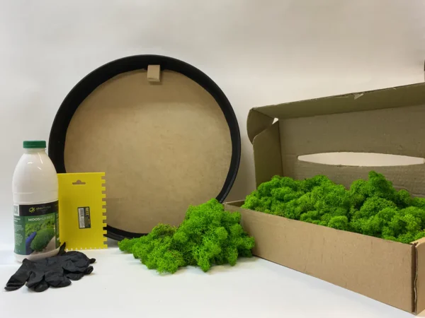 Ekomoss Round DIY Moss Picture Set – Reindeer Moss - Image 5