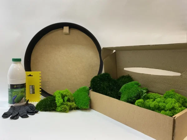 DIY Round Moss Art Kit – Mixed Moss Set - Image 7