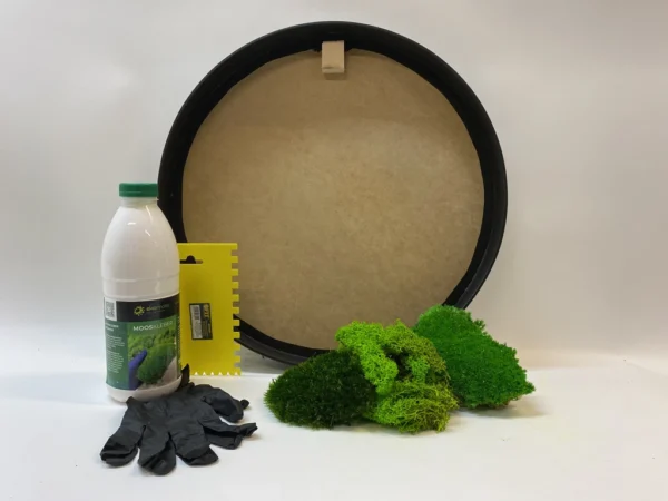 DIY Round Moss Art Kit – Mixed Moss Set - Image 5