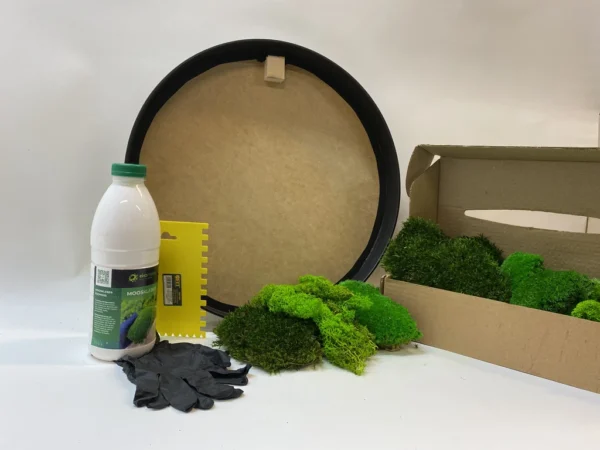 DIY Round Moss Art Kit – Mixed Moss Set - Image 3