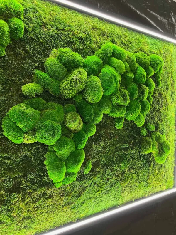 3D Illuminated World Map with Spherical and Flat Moss - Image 6