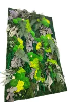 Plant Wall Panels – Moss Panel with Plants - Image 3