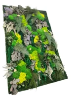 Plant Wall Panels – Moss Panel with Plants - Image 7