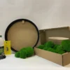 Round DIY moss art kit with black frame, boxed green ball moss, adhesive bottle, notched scraper, and gloves.