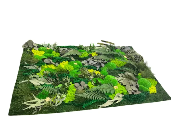 Plant Wall Panels – Moss Panel with Plants - Image 5