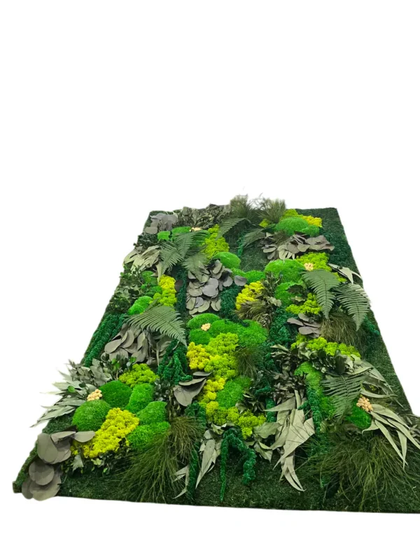 Plant Wall Panels – Moss Panel with Plants - Image 4