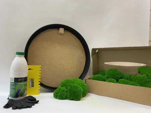 Round DIY Moss Picture Kit – Balled Moss - Image 3