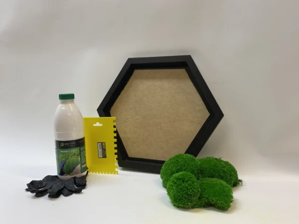 DIY Moss Picture Set Hexagon – Cushion Moss - Image 10