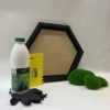 DIY moss kit featuring a black hexagon frame, craft adhesive bottle, yellow spreader, black gloves, and green ball moss.