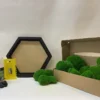 DIY moss kit set including black wooden hexagon frame, glue, yellow spreader, gloves, and green ball moss pieces