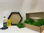 DIY Moss Picture Set Hexagon – Cushion Moss - Image 8