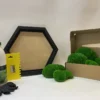 DIY moss wall art kit with black hexagon frame, adhesive bottle, scraper, gloves, and box of green ball moss