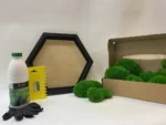 DIY Moss Picture Set Hexagon – Cushion Moss - Image 7