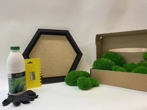 DIY Moss Picture Set Hexagon – Cushion Moss - Image 7