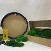 DIY moss wall art kit with round black frame, preserved green moss in a cardboard box, glue bottle, and craft tools
