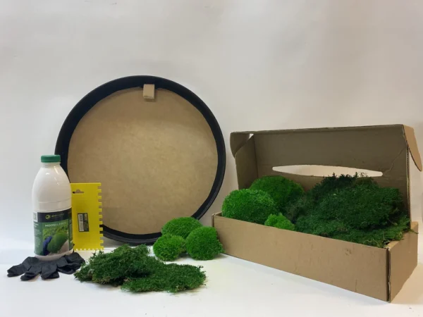 Round DIY Moss Art Kit – Moss Duo - Image 5