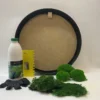 DIY moss art kit with round framed backing board, preserved moss, adhesive bottle, notched spreader, and craft gloves.