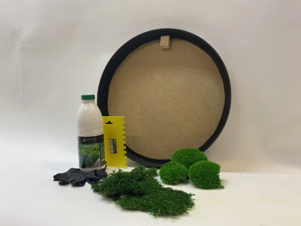 Round DIY Moss Art Kit – Moss Duo - Image 4