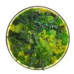 Round LED Moss Wall Art “Jungle Aura” - Image 4