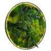 Front view of circular moss wall art featuring mixed preserved green plants and illuminated LED border in dark frame