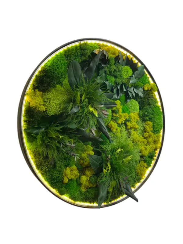Round LED Moss Wall Art “Jungle Aura” - Image 6