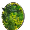 Angled view of round preserved moss wall art with mixed green foliage, dark frame, and warm LED edge lighting