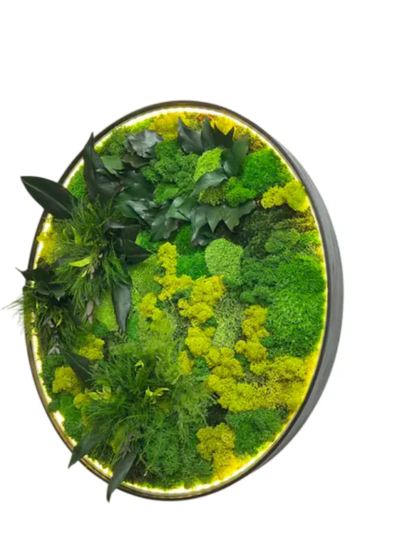 Round LED Moss Wall Art “Jungle Aura” - Image 5
