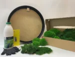 Round DIY Moss Art Kit – Moss Duo - Image 3