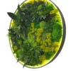 Angled view of round LED moss wall art with mixed green preserved moss and leaves in an illuminated circular frame