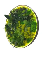 Round LED Moss Wall Art “Jungle Aura” - Image 3