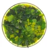Round illuminated preserved plant and moss wall art with backlit circular frame