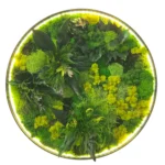 Round LED Moss Wall Art “Jungle Aura”