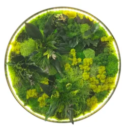Round LED Moss Wall Art “Jungle Aura”