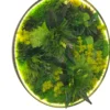Angled view of circular wall art featuring mixed green preserved moss, foliage, and glowing edge lighting