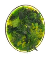 Round LED Moss Wall Art “Jungle Aura” - Image 2