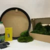 DIY moss art kit with round black wooden frame, cardboard box of green moss, adhesive bottle, notched spatula, and gloves.