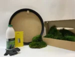 DIY Round Moss Picture Kit – Provence Moss - Image 3