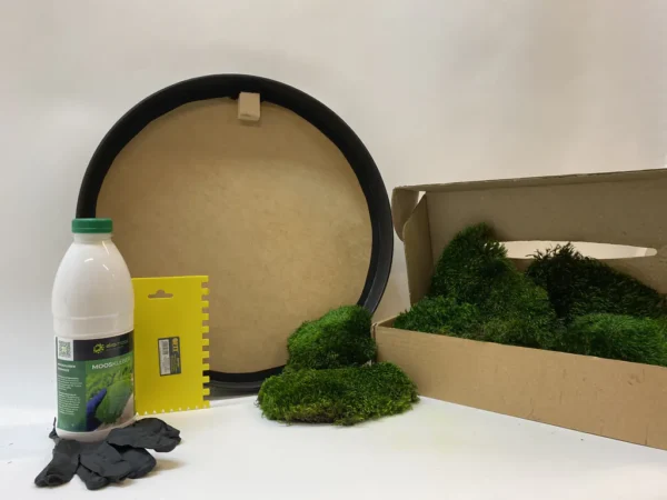 DIY Round Moss Picture Kit – Provence Moss - Image 3