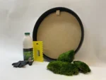 DIY Round Moss Picture Kit – Provence Moss - Image 5